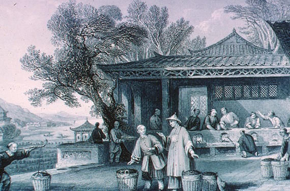 история чая в Китае